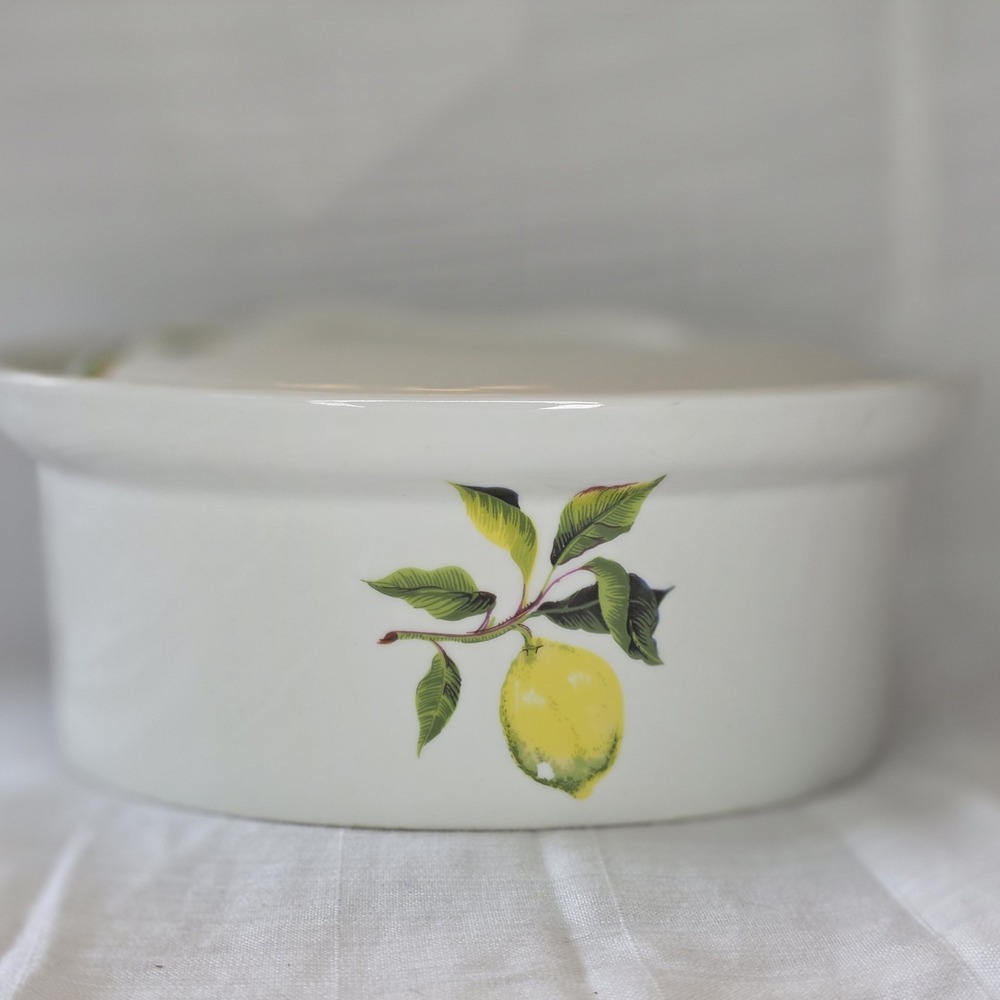 Vintage Porcelaine a Feu France Oval Casserole Dish with Lid Lemon Botanical - Picture 2 of 9